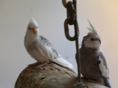 P1000864.jpg