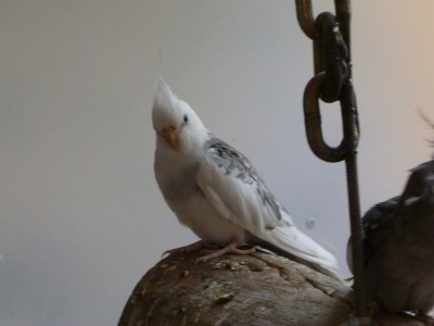 P1000866.jpg