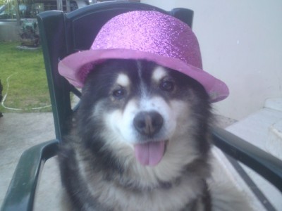 DSC01577 (648 x 486).jpg