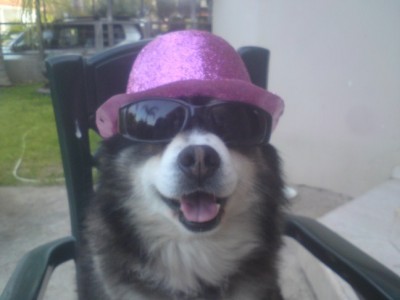 DSC01584 (648 x 486).jpg