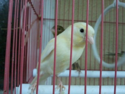 2011-03-22 21.09.14.jpg