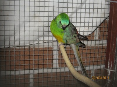 IMG_2369.jpg