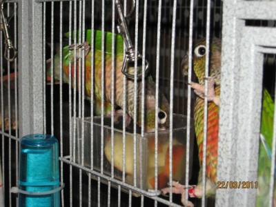 IMG_2372.jpg