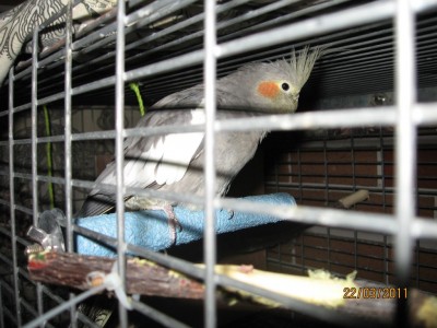 IMG_2364.jpg