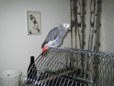 Picture 002.jpg