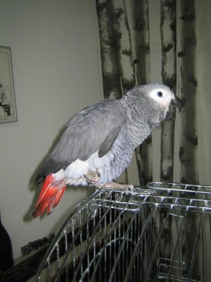 Picture 003.jpg