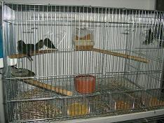 IMG_2288.JPG