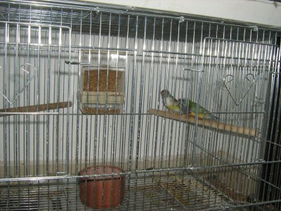 IMG_2289.JPG