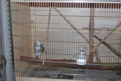 DSC_9734.JPG