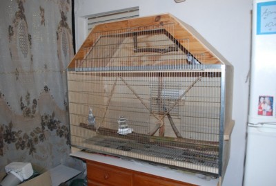 DSC_9736.JPG