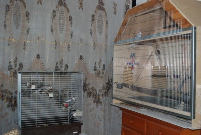 DSC_9743.JPG