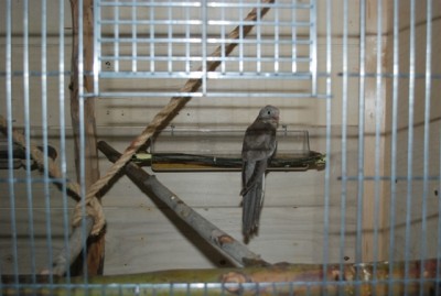 DSC_9747.JPG