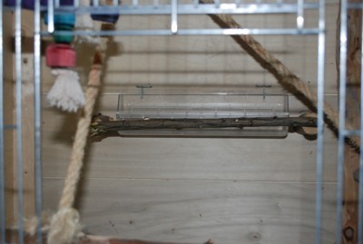 DSC_9748.JPG