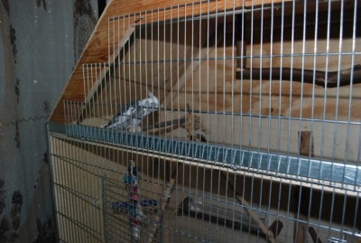 DSC_9749.JPG