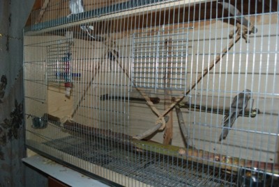 DSC_9750.JPG