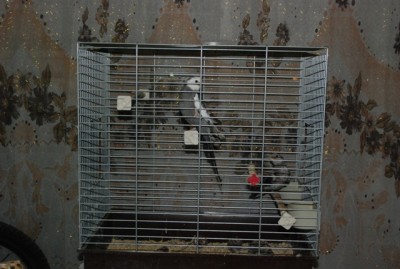 DSC_9751.JPG