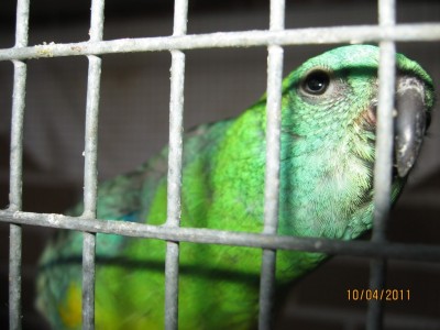 IMG_2457.jpg