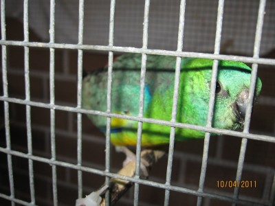 IMG_2450.jpg