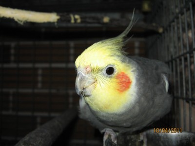 IMG_2491.jpg
