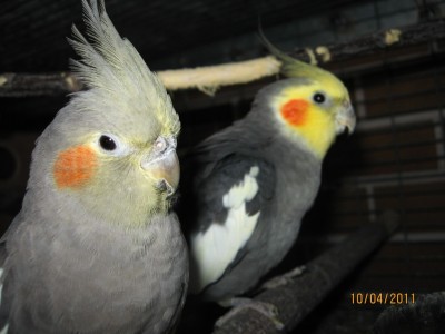 IMG_2481.jpg