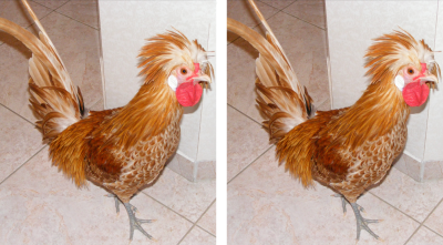 DSCF0079.png