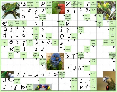 תשבץ.jpg