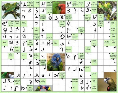 תשבץ.jpg