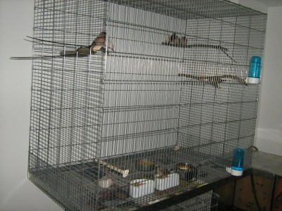 file.jpg