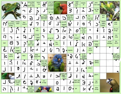 תשבץ.jpg