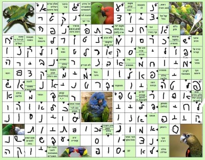 תשבץ.jpg