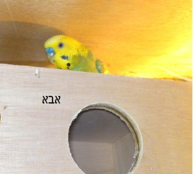 אבא.JPG