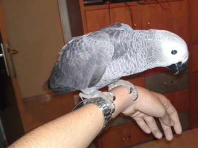 23042011531 (Small).JPG