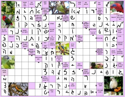 תשחץ 2.jpg