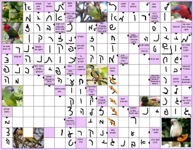 תשחץ 22.jpg