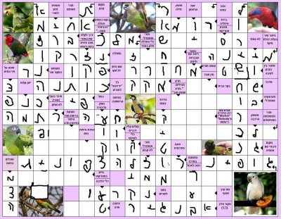 תשחץ 2.jpg