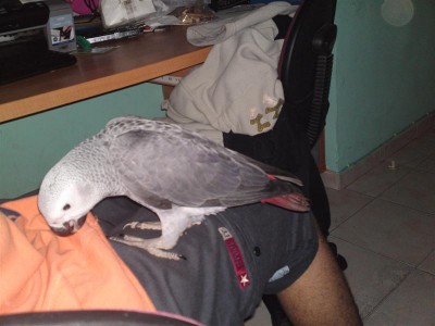 01052011547 (Medium).JPG