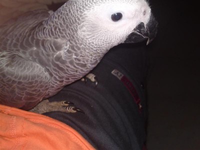 01052011548 (Medium).JPG