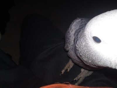 01052011546 (Medium).JPG