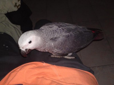 01052011545 (Medium).JPG