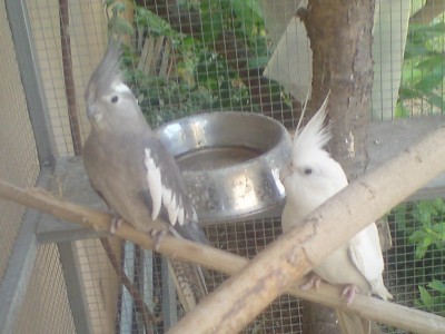 DSC01144.JPG
