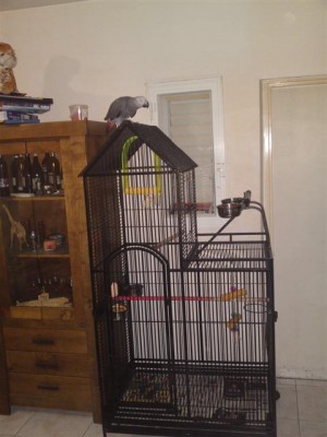 13052011556 (Small).JPG