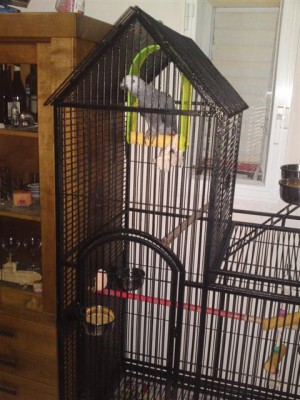 13052011557 (Small).JPG