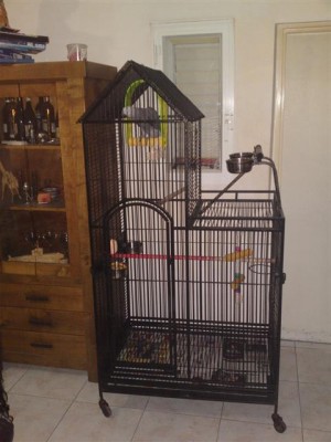 13052011558 (Small).JPG