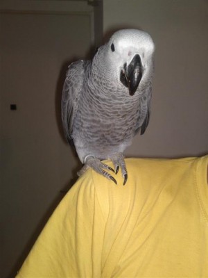 13052011560 (Small).JPG