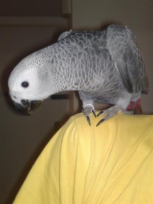 13052011559 (Small).JPG