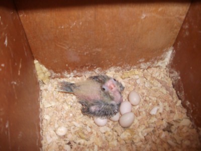 DSCF9858 (1024 x 768).jpg