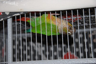 DSC_0056.jpg