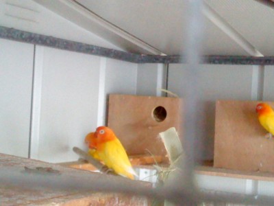 DSC00163.JPG