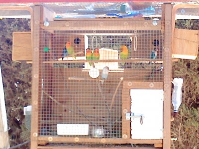 DSC00077.JPG