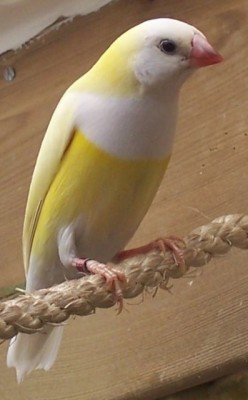 19.jpg